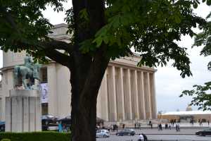 Paris2015 (100)